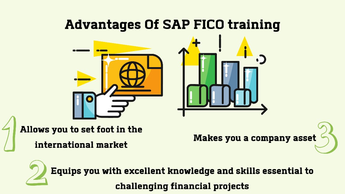 Professional SAP Training