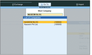 Access Company Info 