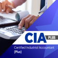 Certified Industrial Accountant - Plus