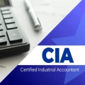 Certified Industrial Accountant