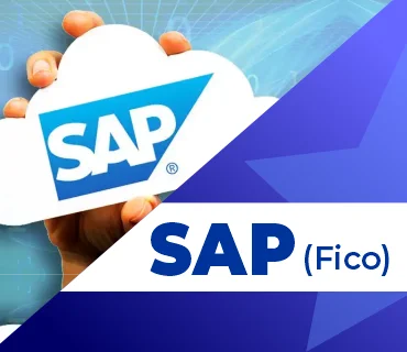 SAP FICO Course (Business User)