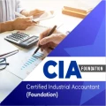 Certified Industrial Accountant - Foundation