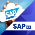 SAP PP Course