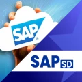 SAP SD Course